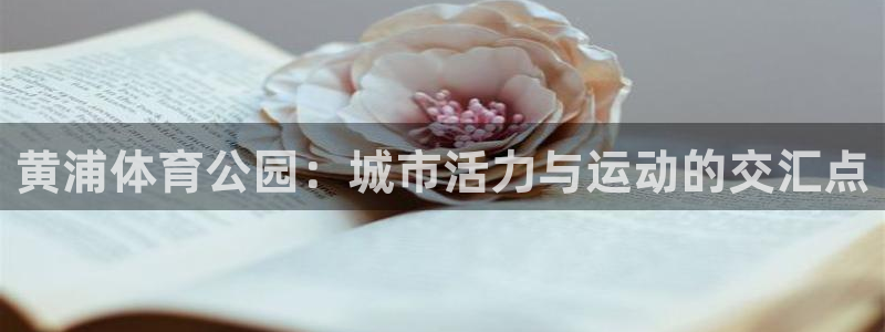 黄浦体育公园：城市活力与运动的交汇点