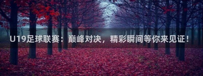 U19足球联赛：巅峰对决，精彩瞬间等你来见证！