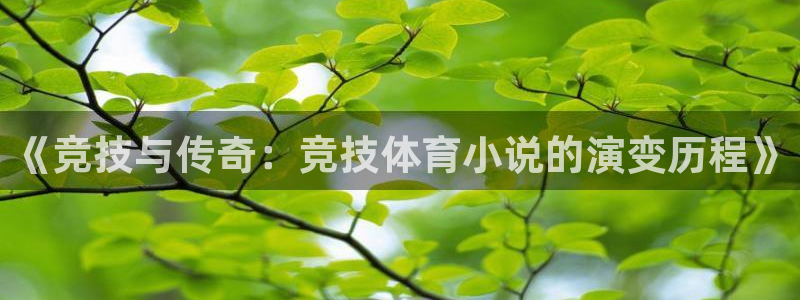 《竞技与传奇：竞技体育小说的演变历程》