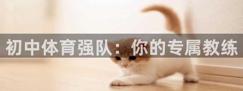 初中体育强队：你的专属教练